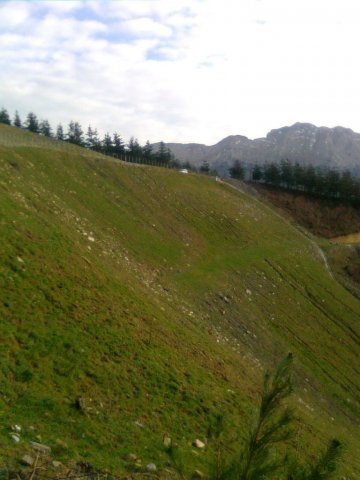 48 hidrosiembras plantaciones